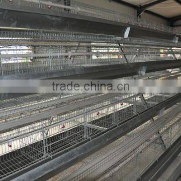 layer chicken battery cage poultry farming
