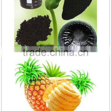 Best quality and price fertilizer for pineapple