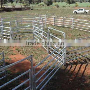 Cattle Panel Fence photo-2