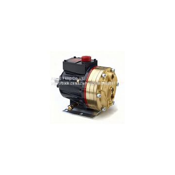 Wanner Hydra-Cell Diaphragm Pump D10 Series