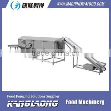 China Manufacturer vegetable and fruit continuous pre-boiling machine