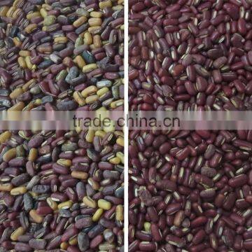 Shenzhen CCD Red Bean Color Sorter/Sorting Machine With Competitive Price / Good After-Sale Service photo-4