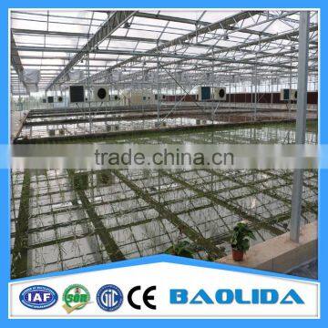 Galvanized Steel Pipes Greenhouse Structure For Sale photo-3