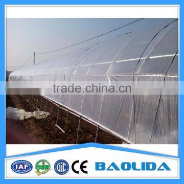 15 Years Warranty 100% Single Span Tunnel Greenhouse photo-3