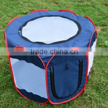 Hot Sale Folding Cat Toy/ Dog Play Toy photo-4