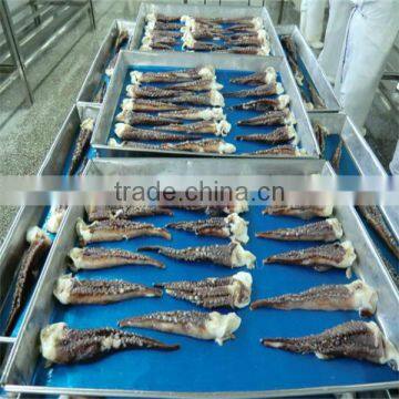 iqf frozen cooked squid tentacle/market squid