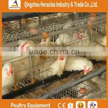 High Quality Cheap Poultry Cage Layer Chicken Used Chicken Cage photo-4
