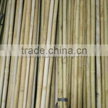 45~55in diameter big bamboo poles