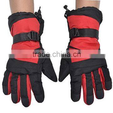 Ski Gloves