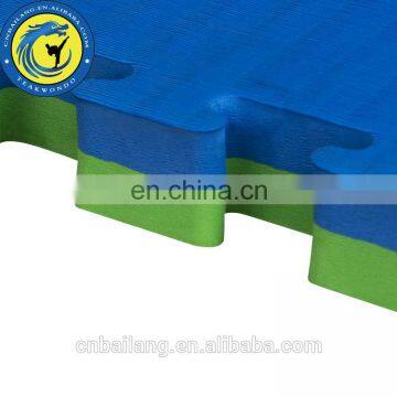 Green &Blue 4cm Thickness Karate Floor Mat