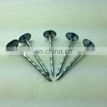 Hebei Umbrella Roofing Nail