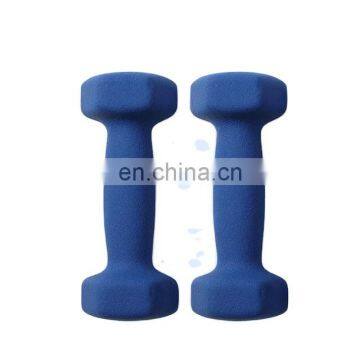 Factory Wholesale Fitness Bodybuilding Dipped Dumbbell Vinyl Neoprene Coated Dumbbell Weights