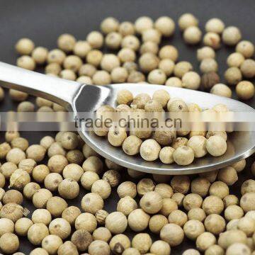 100% Natural White Pepper, vietnam white pepper, 550g/l, 600g/l, 630g/l