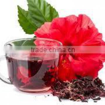 Organic Premium Quality Hibiscus Tea for Bulk sales