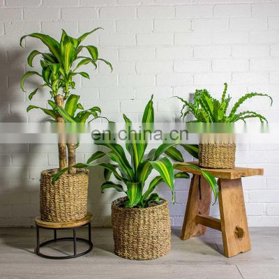 WHolesale in Bulk Seagrass Planter Storage Basket Customized Sizes Plant Holder Storage Basket Wholesale