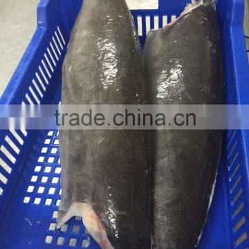 Frozen Oilfish Filets photo-4
