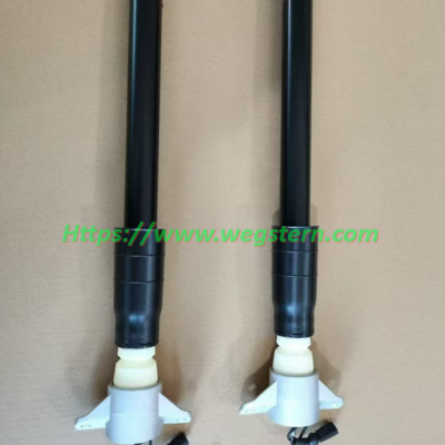 80A616025 80A513353 Hot Selling Nice Quality ADS Shock for Audi Q5 SQ5 Rear LH & RH 2018--