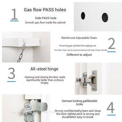 Smart Gas Cylinder Safety Cabinet for Boston Biotech Labs, Double Bottle Storage With 5s Auto-Exhaust & LCD Panel, High Precision Lab Guard photo-2