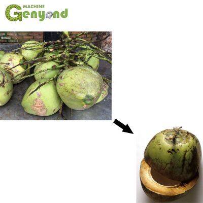 Coconut Water Production Line Coconut Water Automatic Pasteurizer Automatic UHT Pasteurizer Juice Processing Plant Line