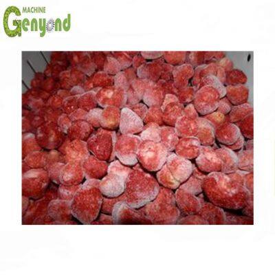 Vegetable & Fruit&Seafood IQF Tunnel Quick Freezer
