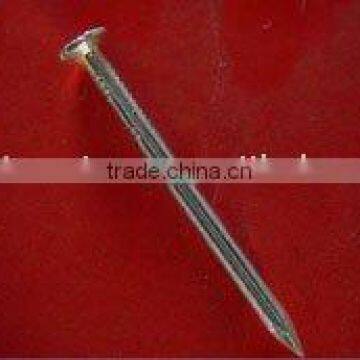 common iron nails