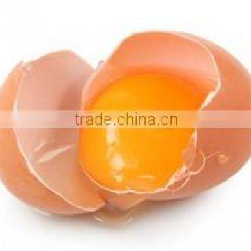 VIET NAM fresh brown chicken eggs