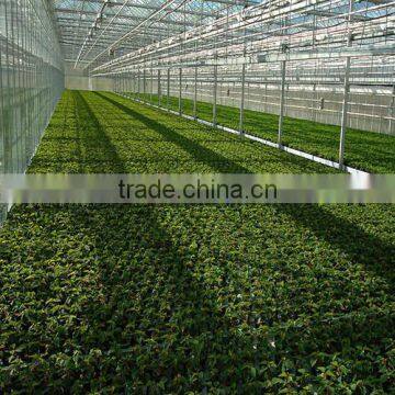 Single Tunnel Greenhouse for sale