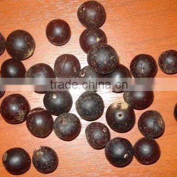 Chuchos Seeds' Beads