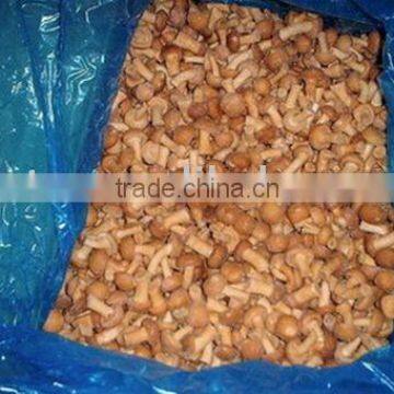 IQF nameko mushroom/frozen nameko mushrooms