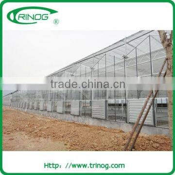 Venlo commercial glass greenhouse