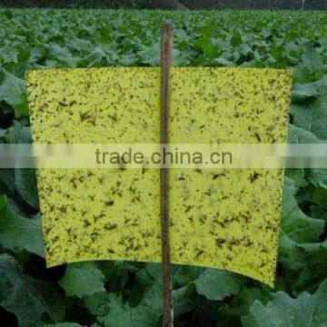 2012 Hot Sale strong adhesive fly trap,yellow board insect killer,fly ribbon ,flycatcher