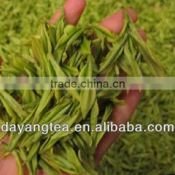 Organic Sencha Green Tea