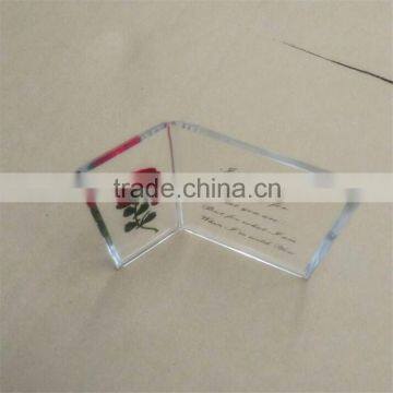 Plexiglass Logo Block, Lucite Block Printing Logo