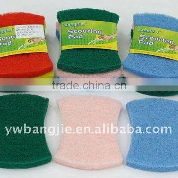 Scouring Pad