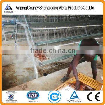 High quality automatic chicken layer cage for sale in philippines