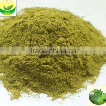 Sweet Tea Health Care Tea Green Tea Extract