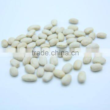 Chinese Medium White Kidney Beans Medium photo-5