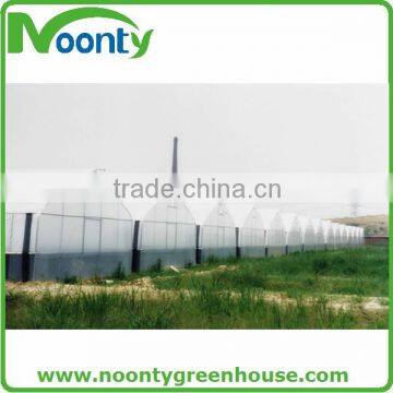 Greenhouse Film photo-5