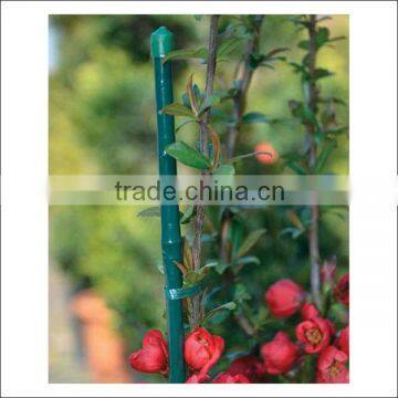 Hot sale green plant stake for plant supporting