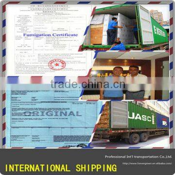 Goods from China shipping to Turkey agent in Shenzhen with warehouse service