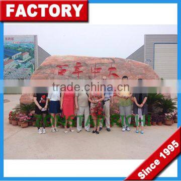 About Our Factory _ Henan Zongstar Richi Machinery _ Production Feed Pellet Machinery photo-5
