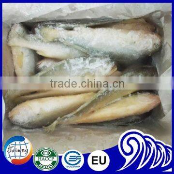 Croaker fish seafood frozen yellow croaker fish promoting price