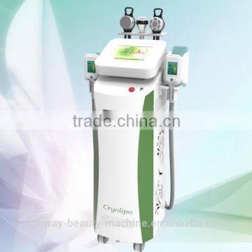 Long Lifespan 5 Heads Multi Beauty Criolipolisis Machine Freeze Fat