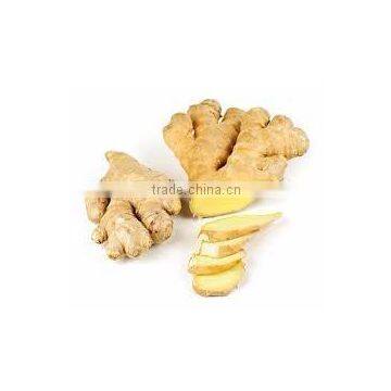 Indian Fresh Ginger