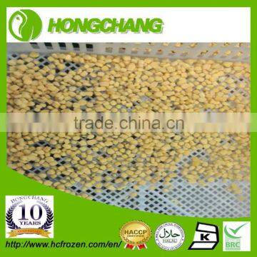 FROZEN SWEET CORN KERNEL