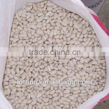 2013 crop different kinds of white kidney beans