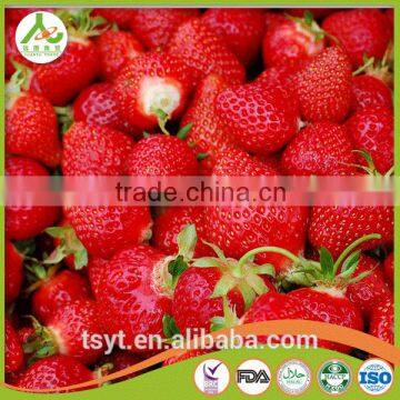 Price For IQF Frozen Strawberry M13, Honey photo-3