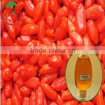 Wholesale Goji Berry Seed Oil