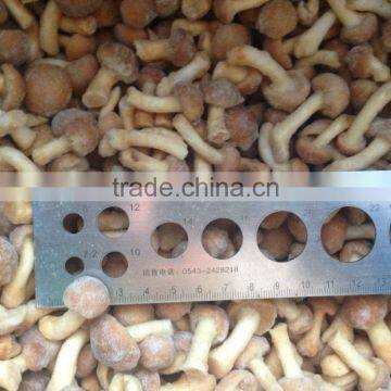 Frozen Nameko