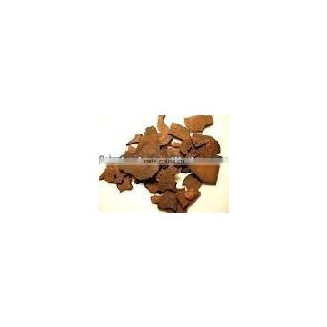 Natural Polygonum Root Extract Powder